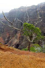 Kauai - 014